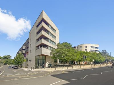 Picture 14